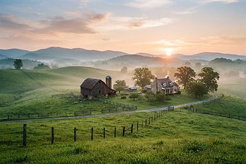 Homesteading
