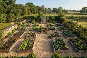 Overhead view of a planned vegetable garden with raised beds and rows of seedlings