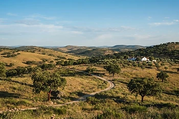 Grândola em destaque no Parlamento sobre o projeto mineiro da Lagoa Salgada