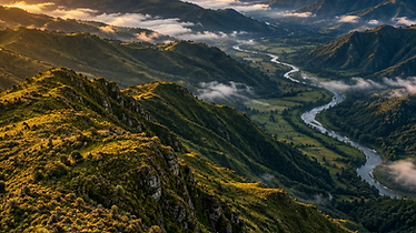 Coorambiental: gestión socioambiental y territorial