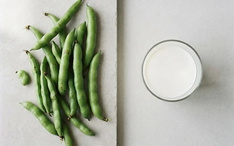 Can you build muscle with plant protein?
