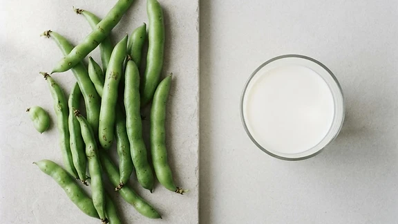 Can you build muscle with plant protein?