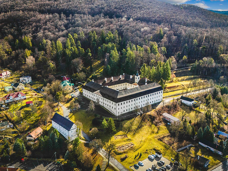 Soví dom i zespół pałacowy z lotu ptaka