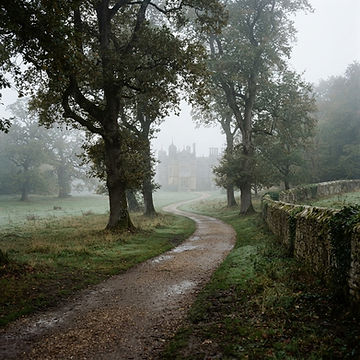 English garden in the mist