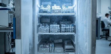 Freezer Repair