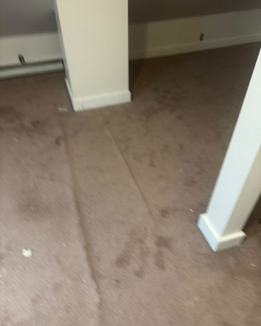 Old Carpet Removal