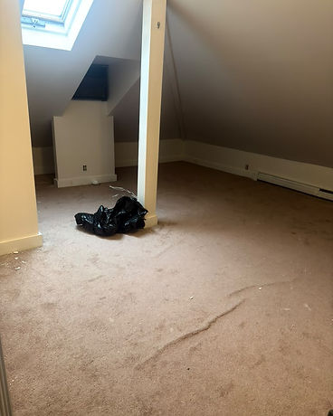 Old Carpet Removal