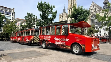 Servicio de recogida con Touristram
