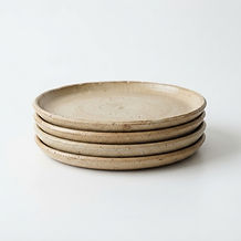 Stoneware Dinner Plate Set (4-pc)