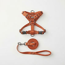 No-Pull Adjustable Dog Harness & Leash