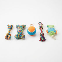 Plush Squeaky Dog Toy Pack (5-pc)