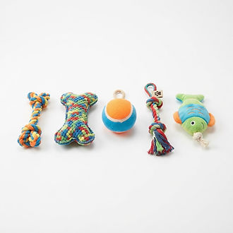 Plush Squeaky Dog Toy Pack (5-pc)