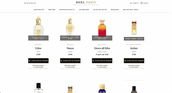 Aperçu du site Roel Paris