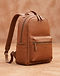 Tan Laptop Backpack (Tan), product photo