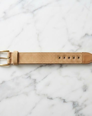 Camel Canvas Belt (Camel), product photo