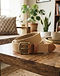 Camel Trouser Belt (Camel), lifestyle setting