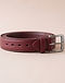 Burgundy Golf Belt (Burgundy), product photo