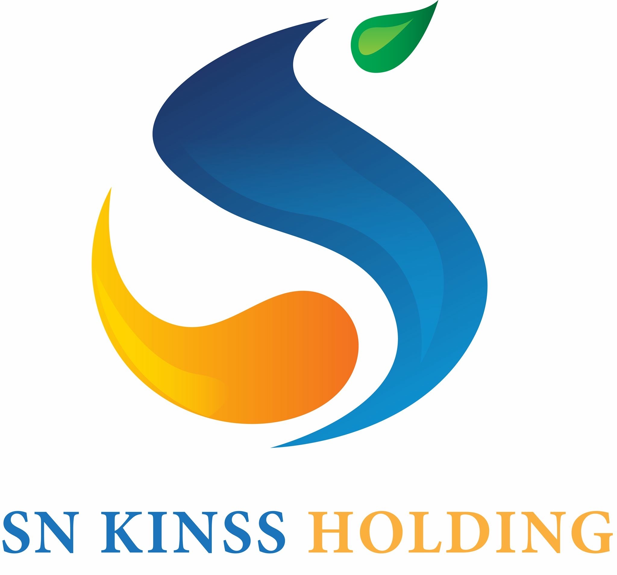 SN KINSS HOLDING 