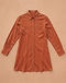 Women's Shirt Dress — Rust (Rust), flat-lay view
