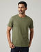 Men's Basic Round Neck Organic Cotton T-Shirt — Olive (Olive), worn or held by model