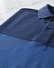 Men's Colour-Block Organic Cotton Polo — Blue (Blue), detail close-up