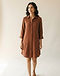 Women's Shirt Dress — Rust (Rust), worn or held by model