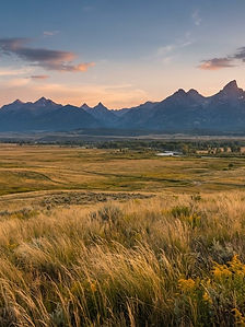 Gallatin Valley meadow at dusk with mountain range on the horizon