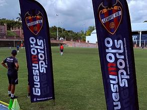 Entrenador del Levante UD entre banderas durante la sesión de entrenamiento
