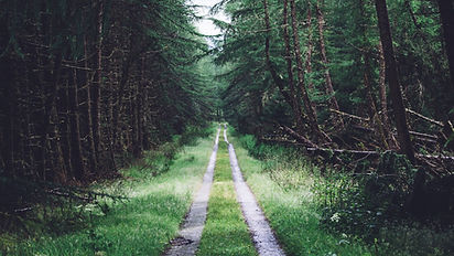 Is God a Pathfinder or a Destiny Changing God?