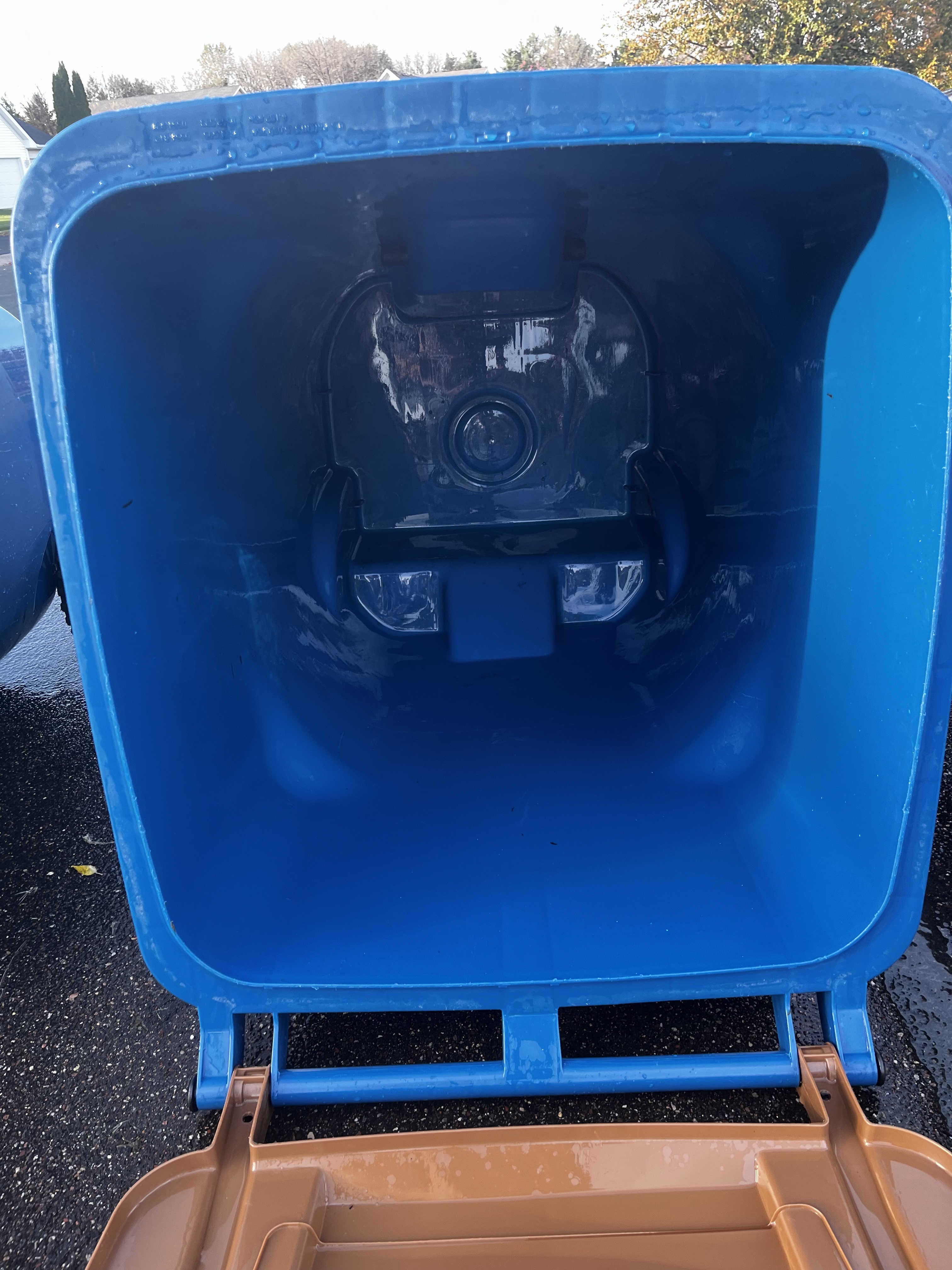 Blue garbage bin cleaning — after