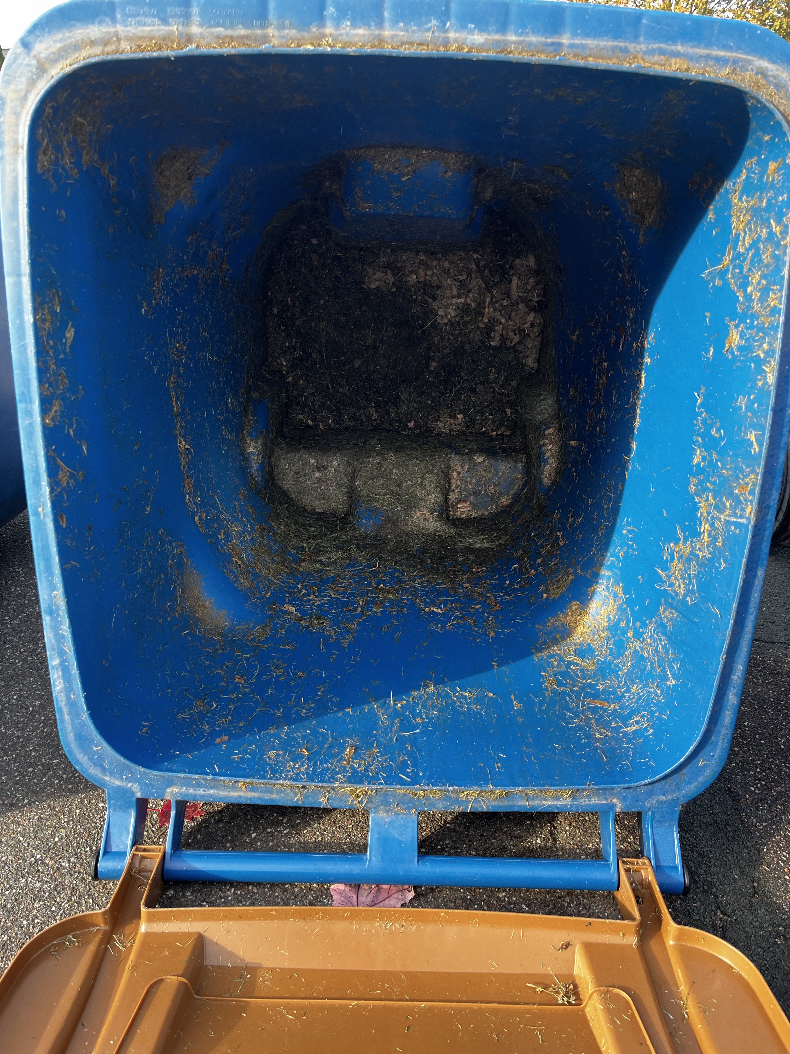 Blue garbage bin cleaning — before