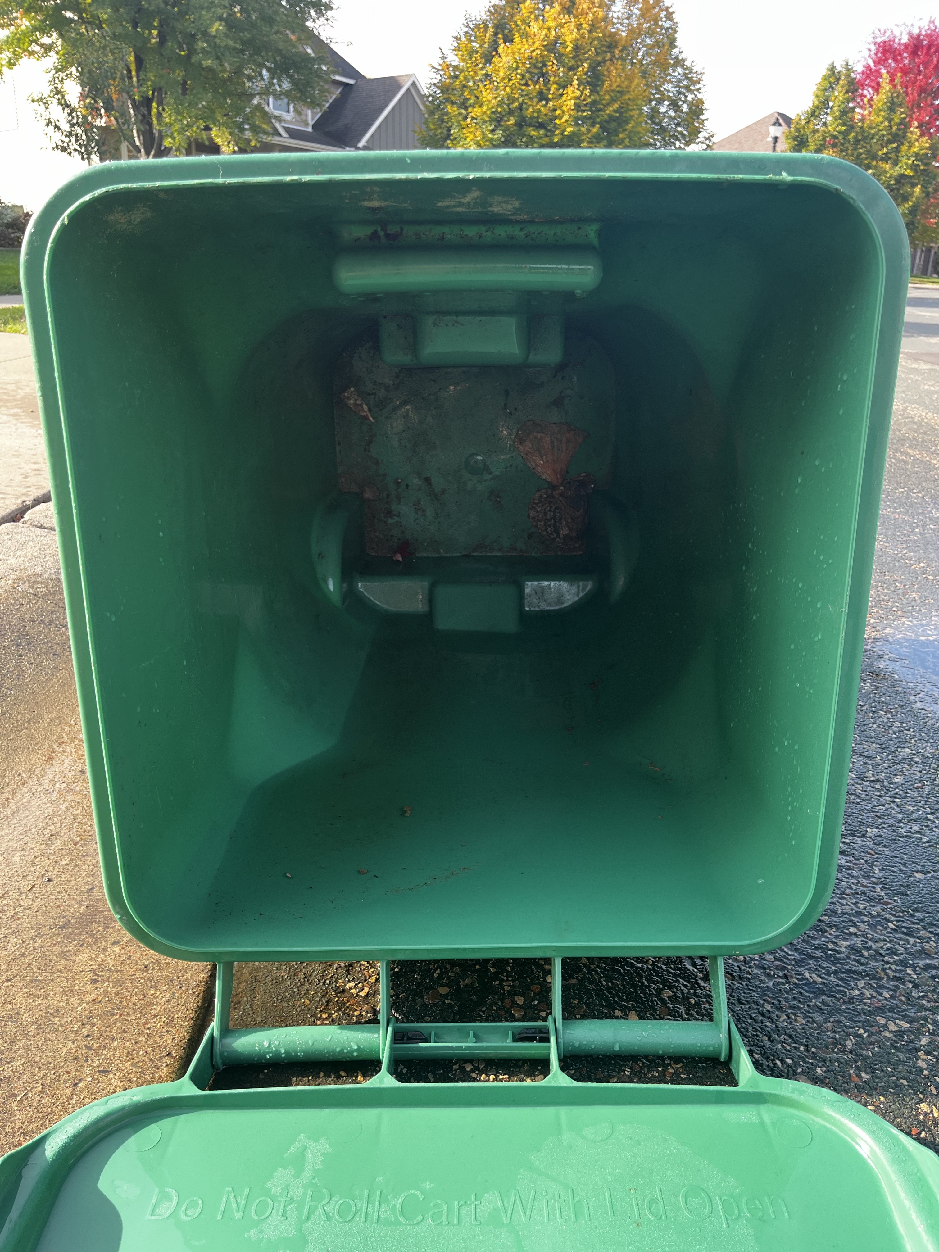 Green garbage bin cleaning — before