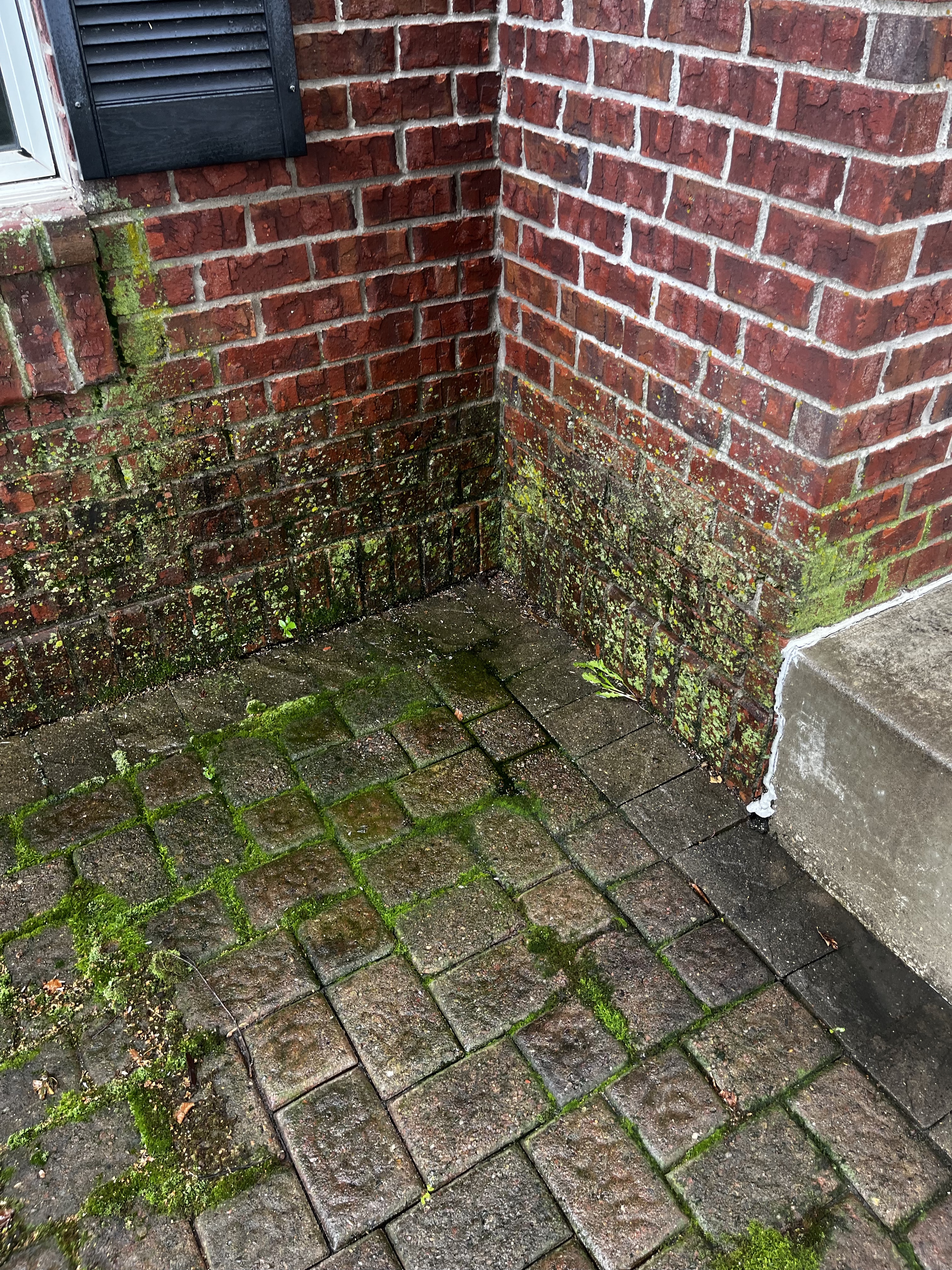 Brick wall & paver patio — before