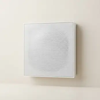 רמקול שקוע DMS Invisible Frame