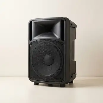 רמקול מוגבר DMS Stage 12
