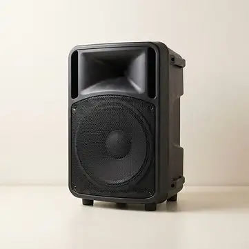 רמקול מוגבר DMS Stage 12