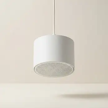 רמקול תלוי DMS Pendant 6
