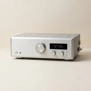 מגבר סטריאו DMS Stereo 100