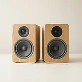 זוג רמקולים מדפיים DMS Oak 6