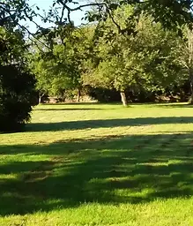 Parc arboré