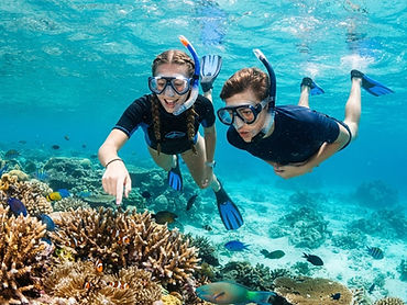 Great Barrier Reef Marine Biology Camp