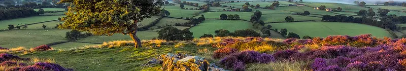 Exmoor landscape at golden hour