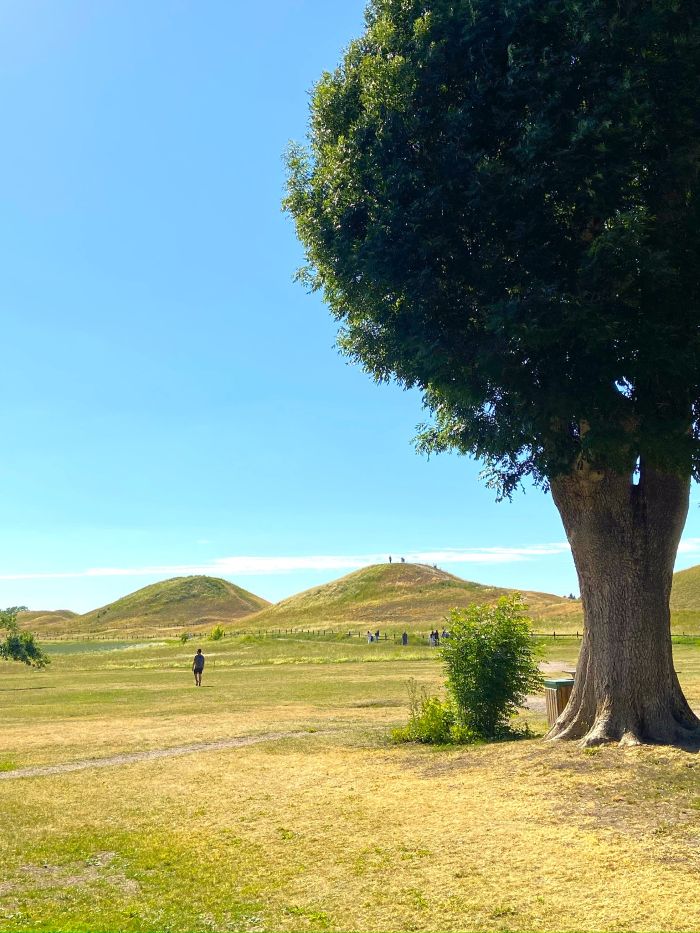 Uppsala In One Day – A Day Trip From Stockholm