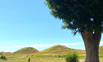 Uppsala In One Day – A Day Trip From Stockholm