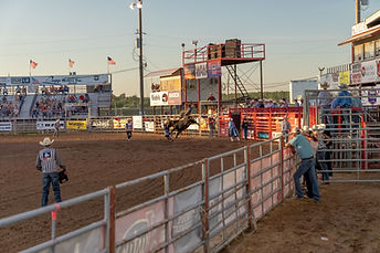 Bull rider competing at a rodeo near Dixon, Illinois