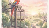 Kiki's Dawn Chorus