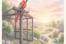 Kiki's Dawn Chorus