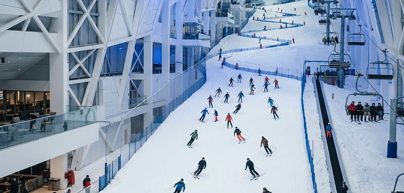 Big Snow American Dream, United States