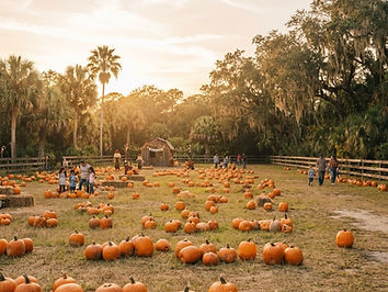 Amber Brooke Farms Fall Festival