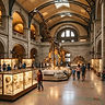 Night at the Museum: Wausau After Hours